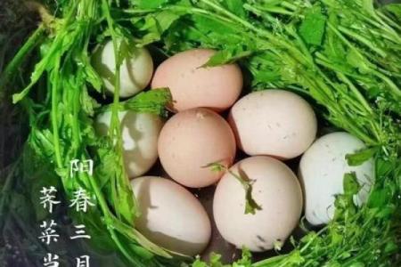 三月三吃鸡蛋是哪个地方的节日 三月三有什么寓意