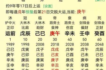 八字己巳日
