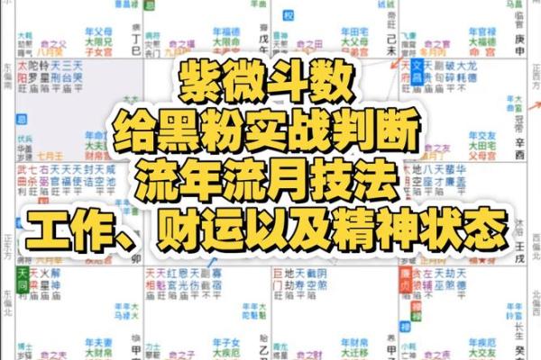 紫薇斗数大迁