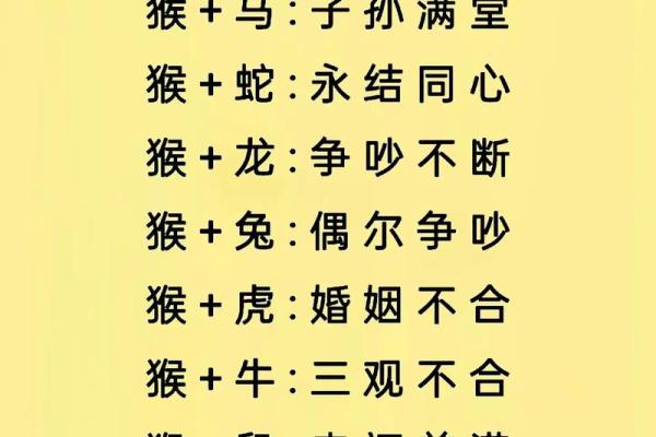 婚姻属相配对