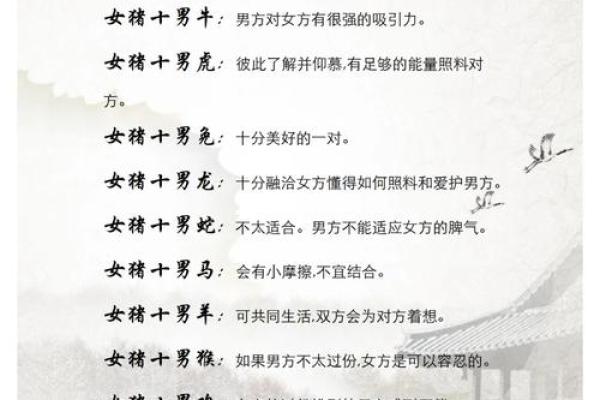 婚姻属相配对