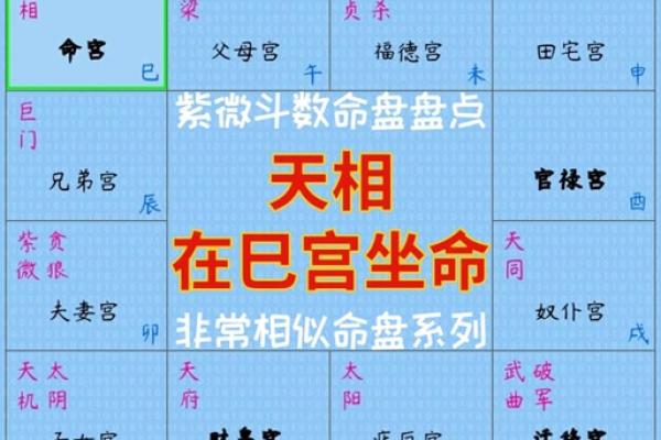 紫薇斗数看相貌宫位