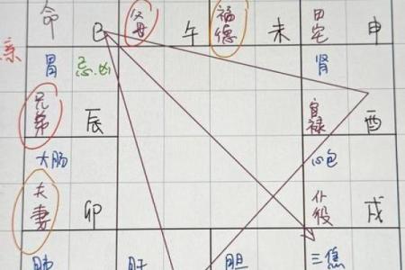 紫微斗数诸星落诸宫之，巨门星：阴土疾厄宫详解
