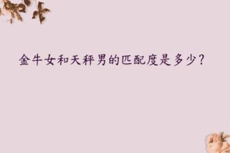 天秤座女与金牛座男配对吗