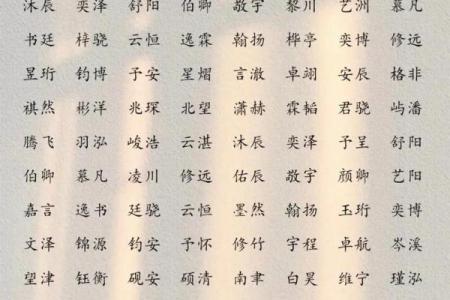 起名字2024免费八字起名女孩 宝宝取名方法推荐