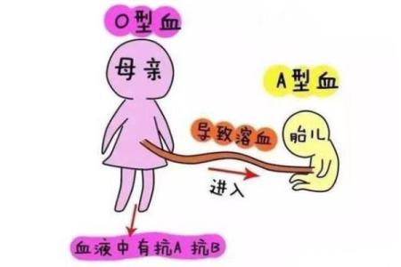 血型谁是蓝颜祸水