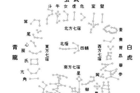 紫薇斗数中的星