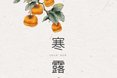 寒生露凝，透过民俗望寒露禁忌