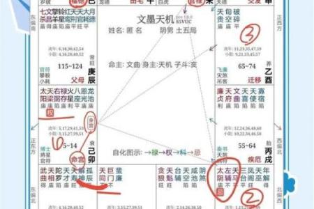 紫薇斗数命运化解