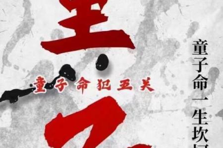 童子八字
