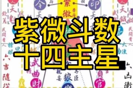 紫薇斗数自测