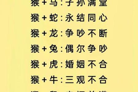 婚姻属相配对