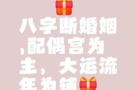 八字婚姻宫