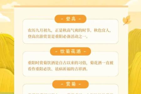 9月9日重阳节是什么意思 重阳节是什么意思什么节日