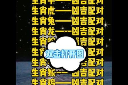 十二生肖配对吉凶 十二生肖配对吉凶表