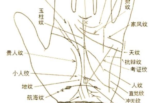 《手相学习百科》：命运线