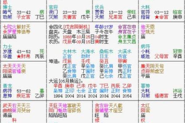紫薇斗数命盘会照