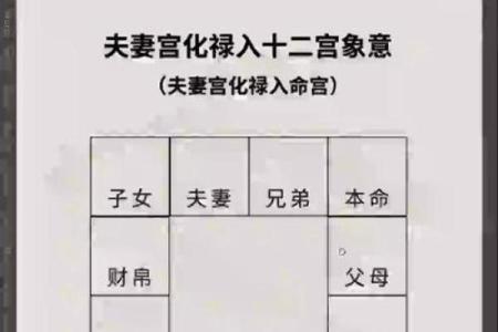 紫薇斗数化禄流通