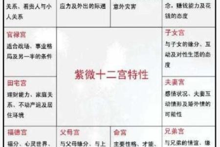 如何看紫薇星在什么宫