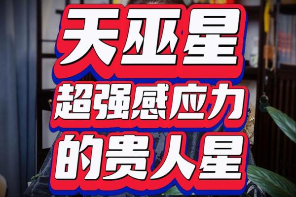 命宫紫薇斗数天巫