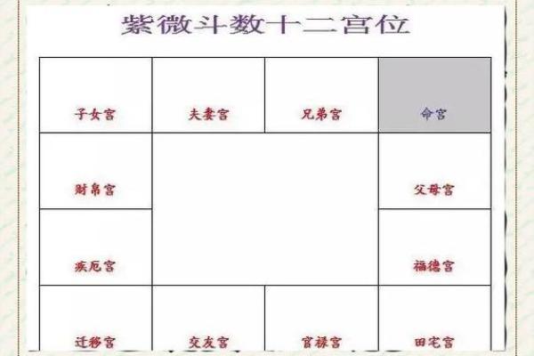 紫薇斗数地劫命宫