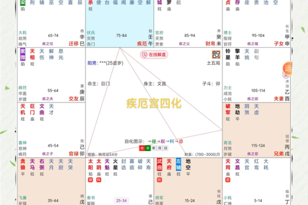 紫薇斗数地劫命宫