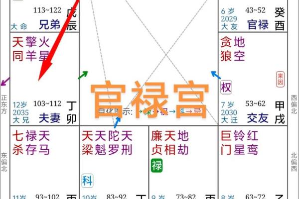 紫微斗数官禄宫详解，能否事业有成全看它