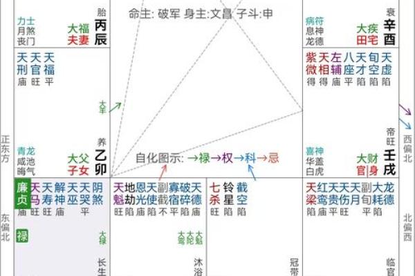 紫薇斗数排盘免费测试