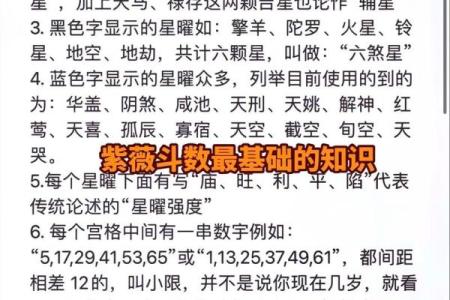 紫微斗数美国神婆在线排盘 星盘美国神婆？