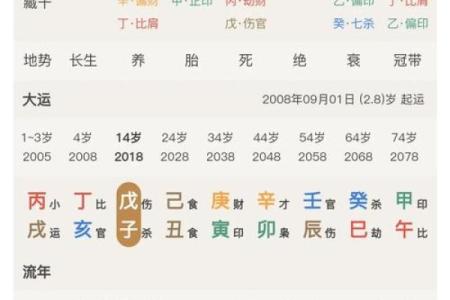 八字辰时