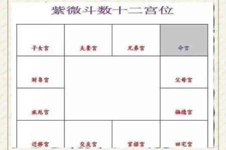 紫薇斗数地劫命宫