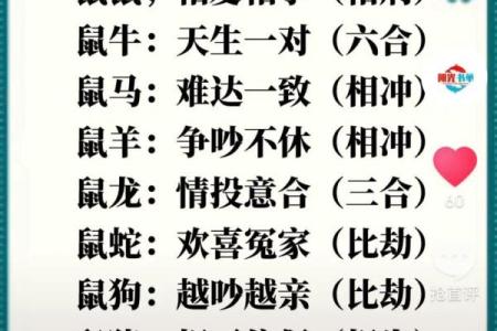 生肖配对表,羊和牛适合在一起吗