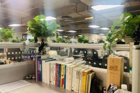 给工位换风水后，事业直接起飞