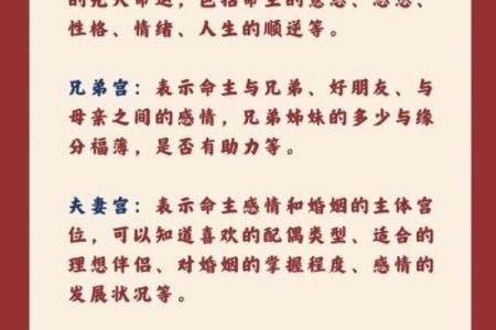 紫微斗数官禄宫详解，能否事业有成全看它