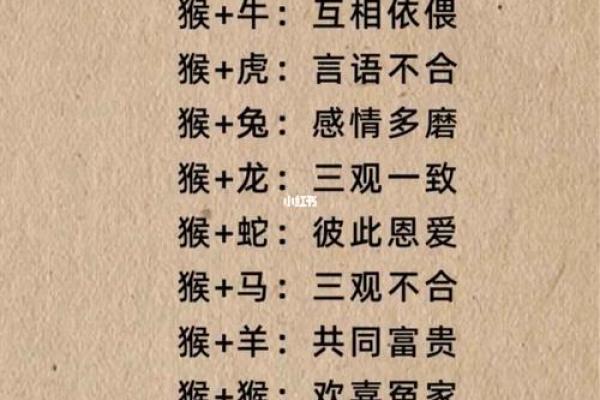 父母与子女属相配对