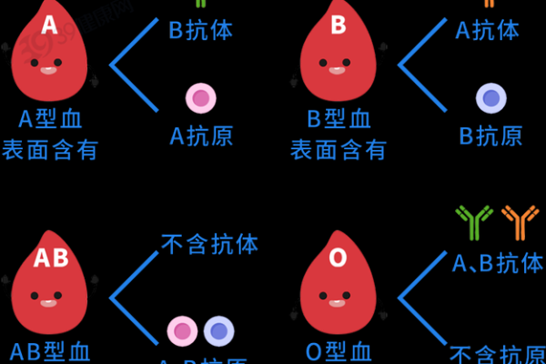 血型研究的发展史是怎样的