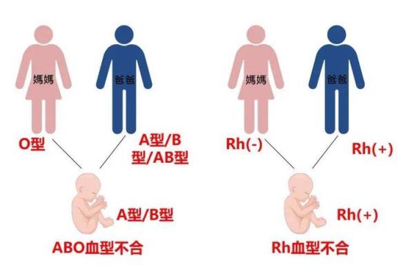 a型血和b型生的孩子是什么血型呢