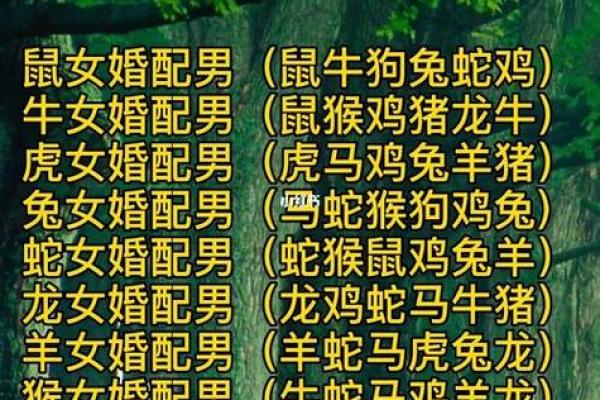 99年属什么今年多大 生肖配对