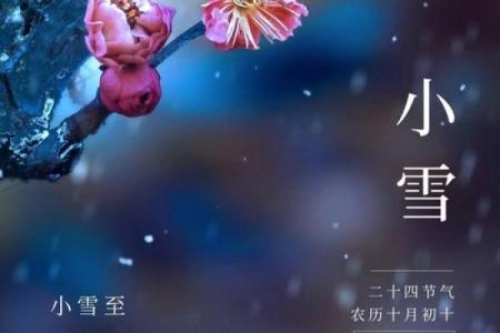 小雪节日文案 小雪节日的诗句