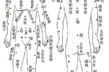 诸葛亮拜水镜先生为师  万年历表查询八字算命网