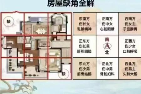 金命人买房朝向什么方位最好