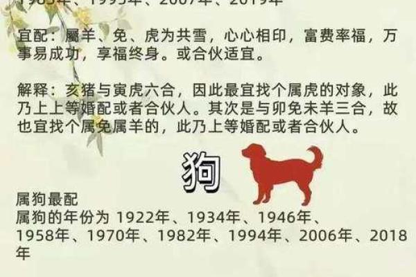 婚姻属相配对，婚姻属相配对大全很准