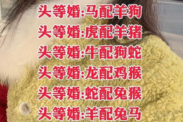 配对要谨慎的生肖组合