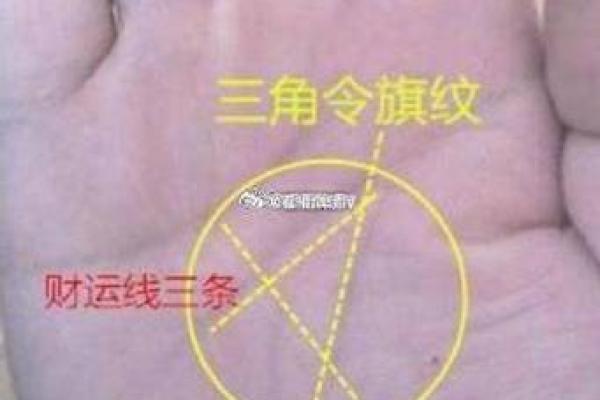 财运线是哪一条？财运线算命图解