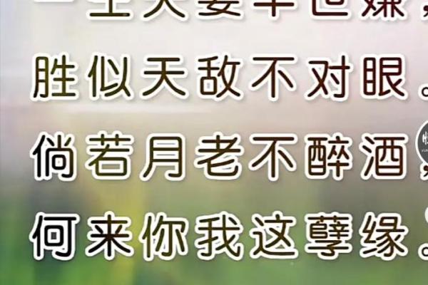 月老姻缘答第五八签解
