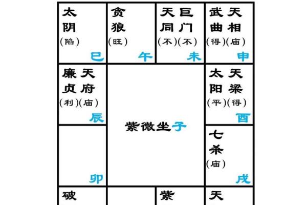 怎么查自己的紫薇星座