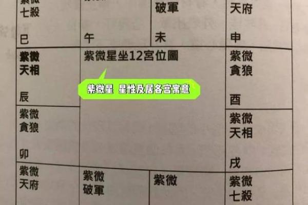 怎么查自己的紫薇星座