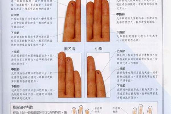 《手相学习百科》：认识双手