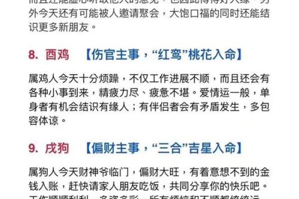 什么血型生肖最有前途