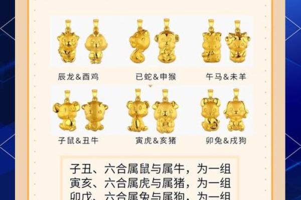 什么血型生肖最有前途